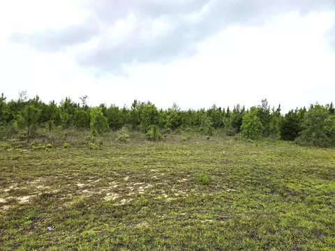 Nnn NW Telogia Creek Estates W, Bristol, FL 32321