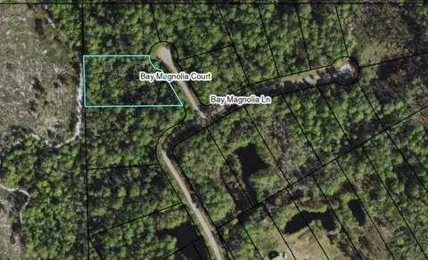 146 Bay Magnolia Ct, Carrabelle, FL 32322 photo 3