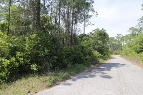 146 Bay Magnolia Ct, Carrabelle, FL 32322 photo 5
