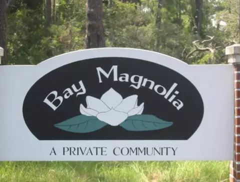 146 Bay Magnolia Ct, Carrabelle, FL 32322 photo 2