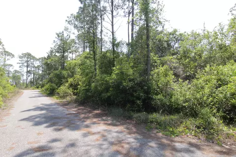 146 Bay Magnolia Ct, Carrabelle, FL 32322 photo 4