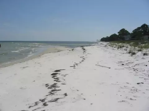 146 Bay Magnolia Ct, Carrabelle, FL 32322 photo 7