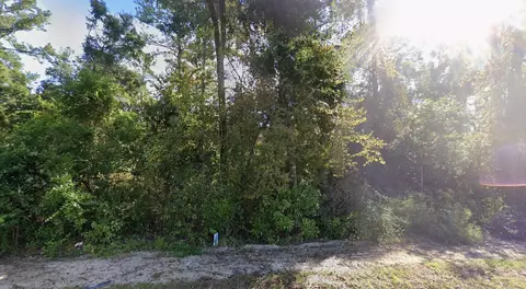 44 Chicopee Rd, Crawfordville, FL 32327