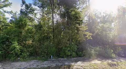 44 Chicopee Rd, Crawfordville, FL 32327