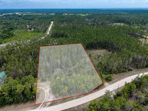tbd Ocean Pond Dr, Perry, FL 32348 photo 6