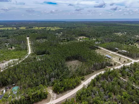 tbd Ocean Pond Dr, Perry, FL 32348 photo 11
