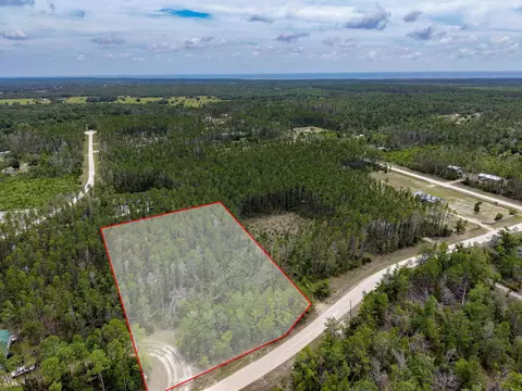 tbd Ocean Pond Dr, Perry, FL 32348 photo 8