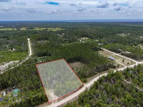 tbd Ocean Pond Dr, Perry, FL 32348 photo 10