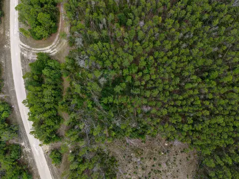 tbd Ocean Pond Dr, Perry, FL 32348 photo 19