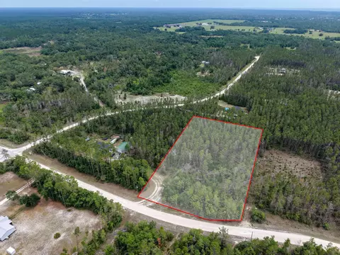 tbd Ocean Pond Dr, Perry, FL 32348 photo 14
