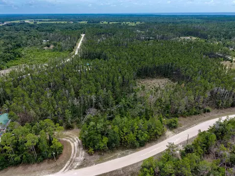 tbd Ocean Pond Dr, Perry, FL 32348 photo 7