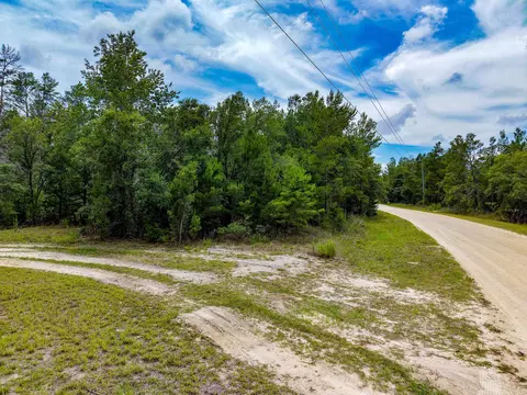 tbd Ocean Pond Dr, Perry, FL 32348 photo 2