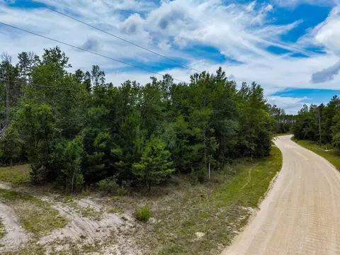 tbd Ocean Pond Dr, Perry, FL 32348 photo 3