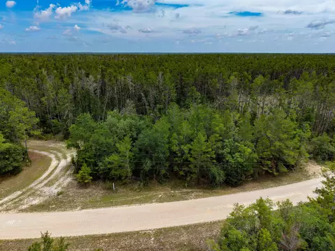 tbd Ocean Pond Dr, Perry, FL 32348 photo 4
