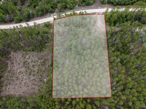 tbd Ocean Pond Dr, Perry, FL 32348 photo 20