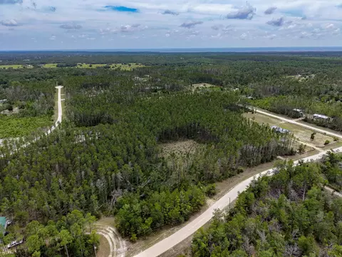 tbd Ocean Pond Dr, Perry, FL 32348 photo 9