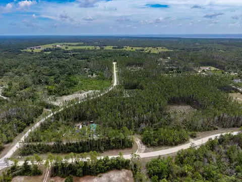 tbd Ocean Pond Dr, Perry, FL 32348 photo 13