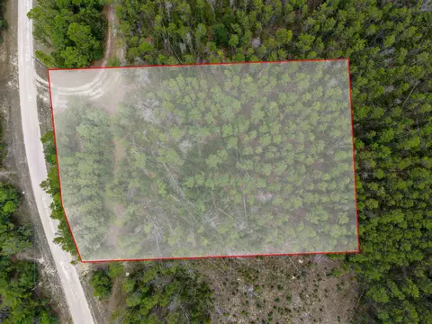 tbd Ocean Pond Dr, Perry, FL 32348 photo 18