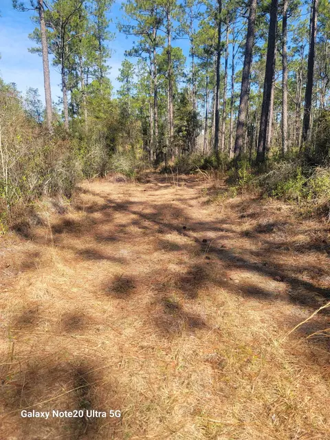 0 Smith Creek Rd, Tallahassee, FL 32310