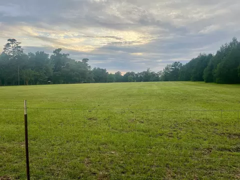 180 Cooper Rd, Monticello, FL 32344 photo 27