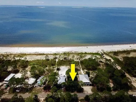 1732 Carrabelle Beach Dr, Carrabelle, FL 32322 photo 4