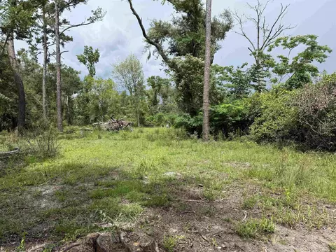0000 NE Chervil Dr, Lee, FL 32059 photo 11