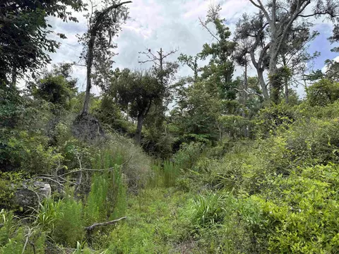 0000 NE Chervil Dr, Lee, FL 32059 photo 14