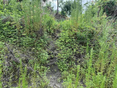 0000 NE Chervil Dr, Lee, FL 32059 photo 13