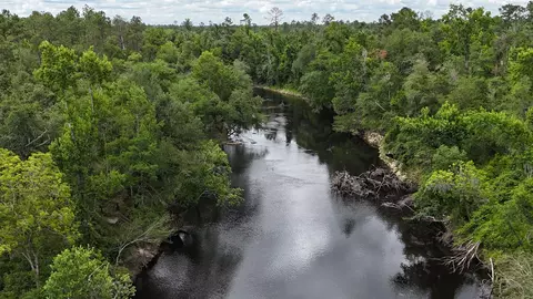 0000 NE Chervil Dr, Lee, FL 32059 photo 6