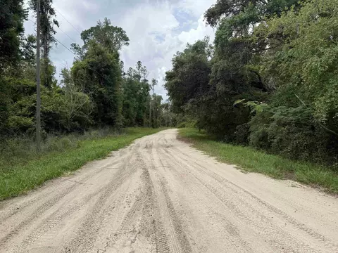 0000 NE Chervil Dr, Lee, FL 32059 photo 12