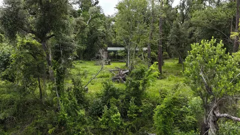 0000 NE Chervil Dr, Lee, FL 32059 photo 2