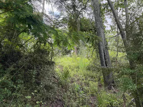 0000 NE Chervil Dr, Lee, FL 32059 photo 16