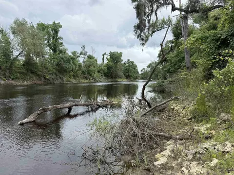 0000 NE Chervil Dr, Lee, FL 32059 photo 10