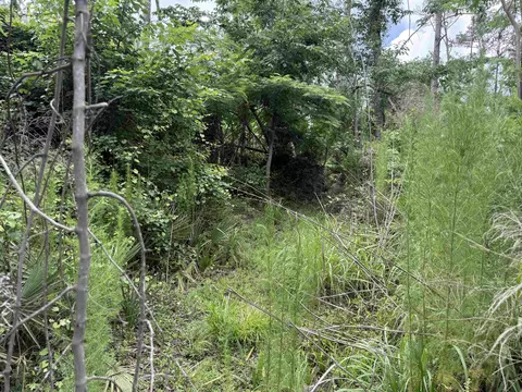 0000 NE Chervil Dr, Lee, FL 32059 photo 15