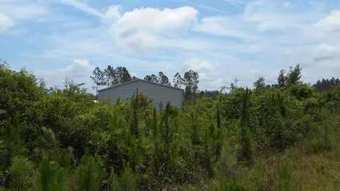 lot3 Old Plank Rd, Crawfordville, FL 32327