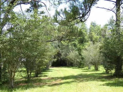 790 Wj Hatchett Rd, Lamont, FL 32336