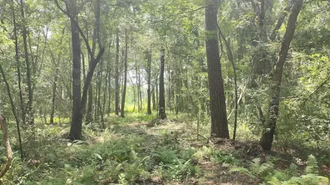 0 Cox Rd, Monticello, FL 32344