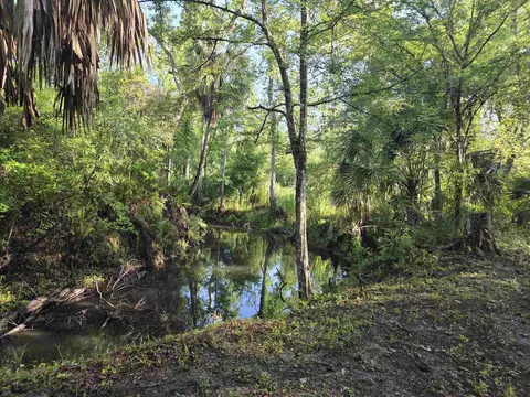 Other - 3645 Slaughter Rd, Perry, FL 32347 photo 9 of 9