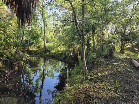 3645 Slaughter Rd, Perry, FL 32347 photo 46