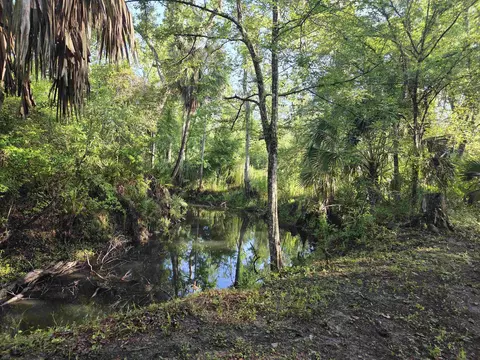 3645 Slaughter Rd, Perry, FL 32347 photo 47