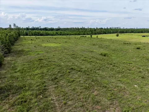 tbd Loblolly Trl, Lee, FL 32059 photo 26