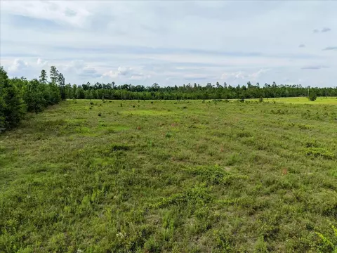 tbd Loblolly Trl, Lee, FL 32059 photo 27