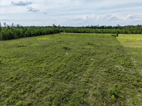 tbd Loblolly Trl, Lee, FL 32059 photo 25