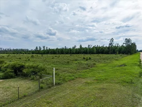 tbd Loblolly Trl, Lee, FL 32059 photo 13
