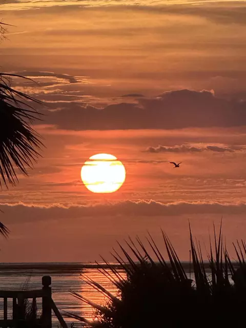 1824 Ezell Beach Rd, Keaton Beach, FL 32348 photo 11