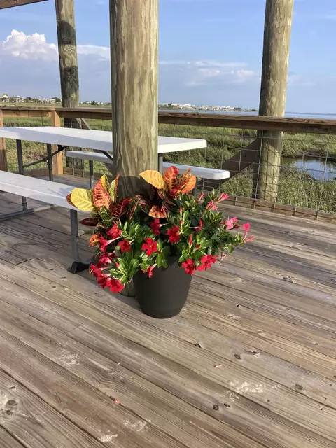1824 Ezell Beach Rd, Keaton Beach, FL 32348 photo 5