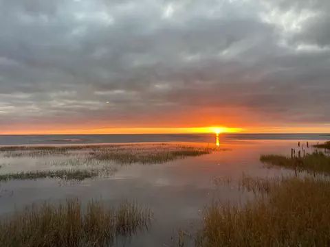 1824 Ezell Beach Rd, Keaton Beach, FL 32348 photo 15
