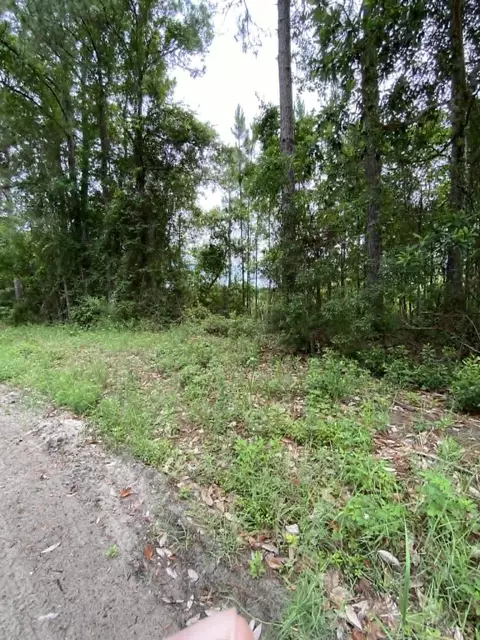 Nn Jer-be-lou Circle, Panacea, FL 32346