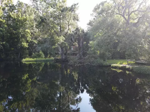 23210 Nutall Rise Rd, Lamont, FL 32336 photo 16