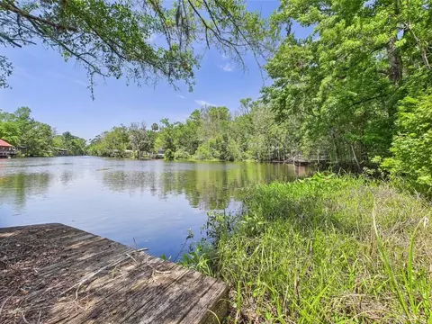 23210 Nutall Rise Rd, Lamont, FL 32336 photo 6
